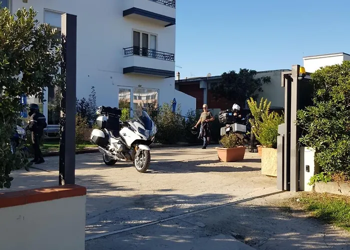 Blue Velvet 3* トルトリ