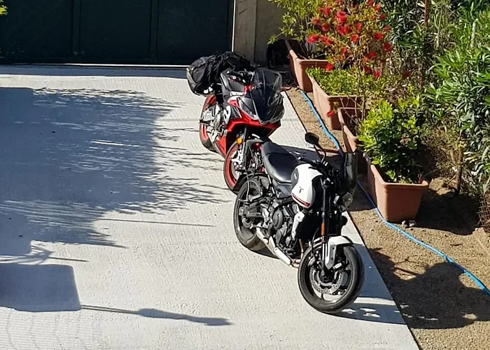 ゲストハウス Blue Velvet トルトリ